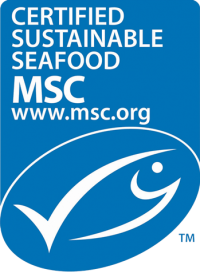 msclogo1